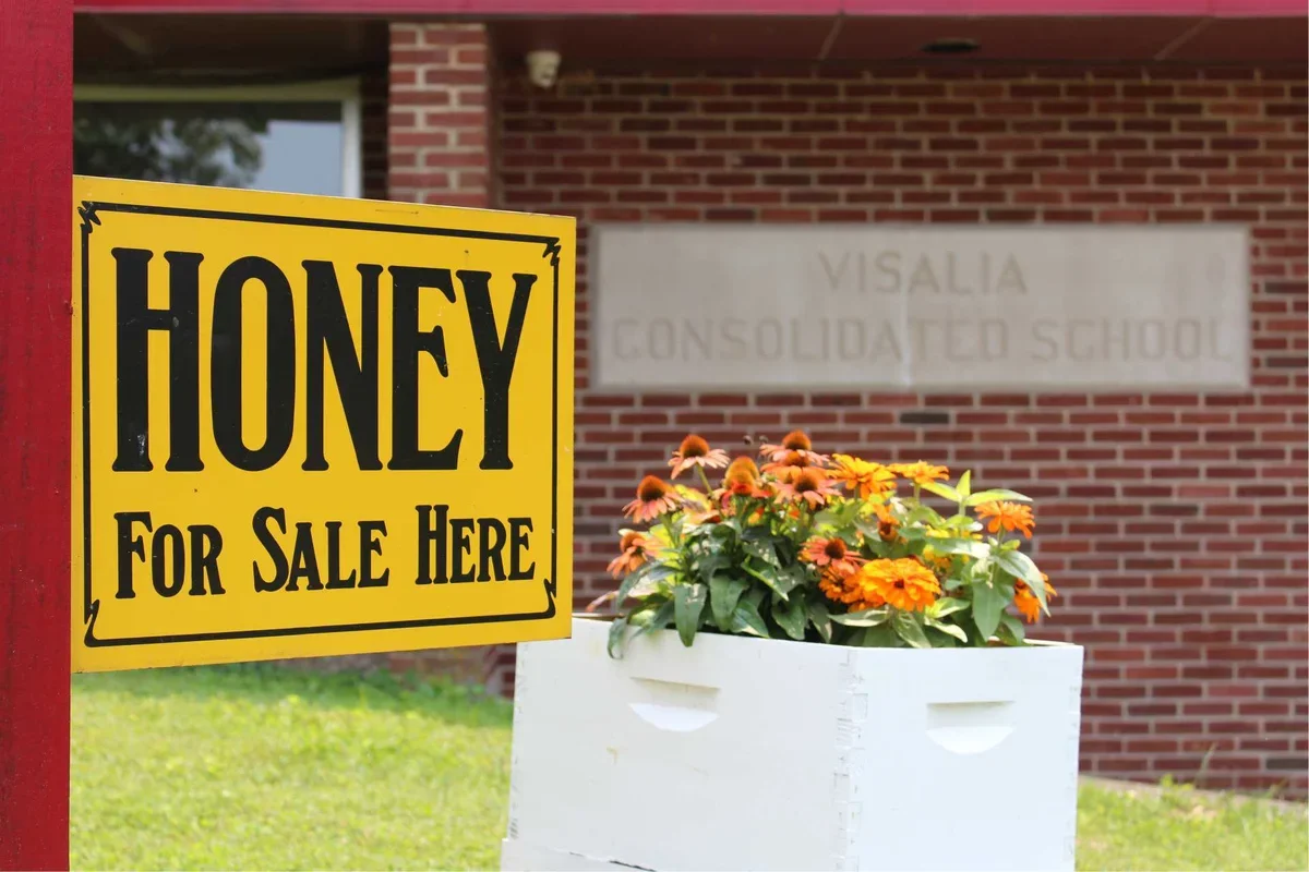 School House Bees - Spille's Honey photo 23