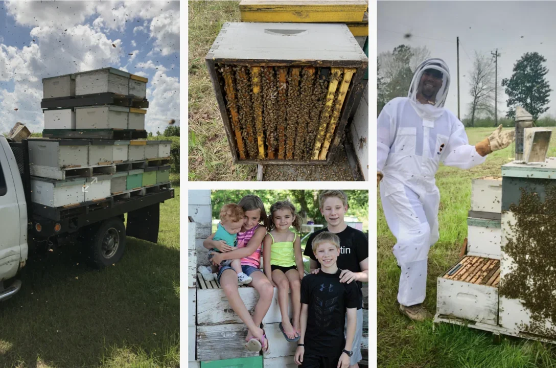 School House Bees - Spille's Honey photo 19