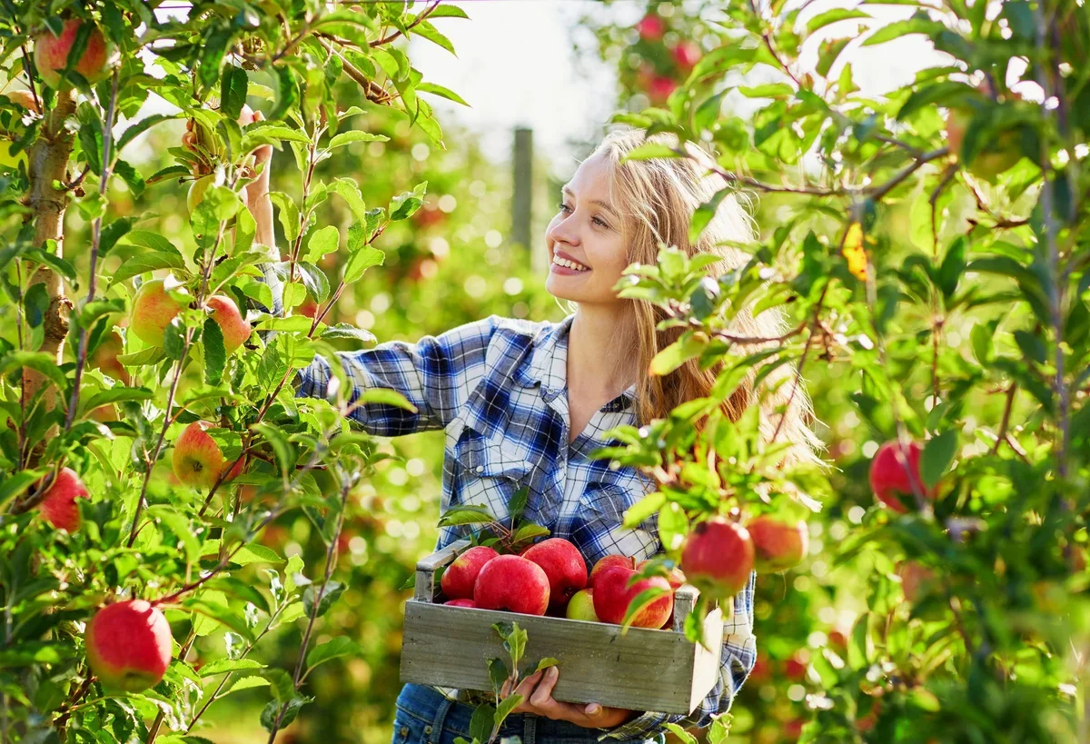 Robinette's Apple Haus & Winery