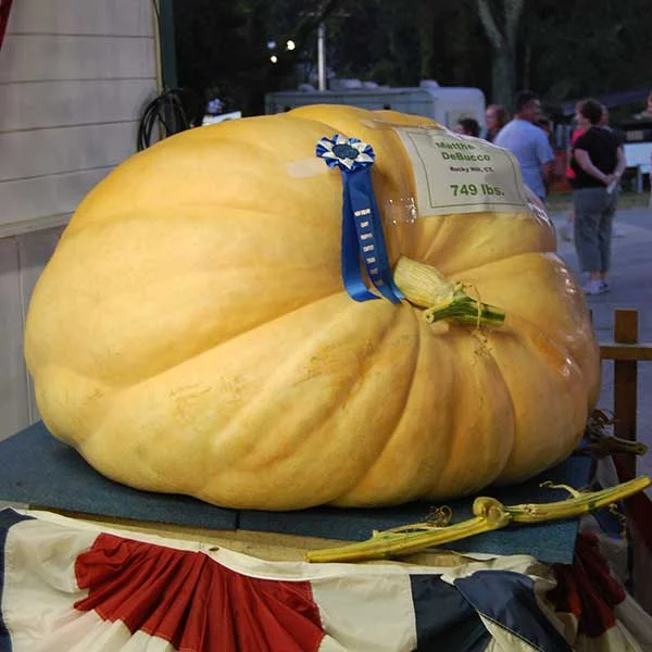Marshfield Farmers' Market, MA photo 7