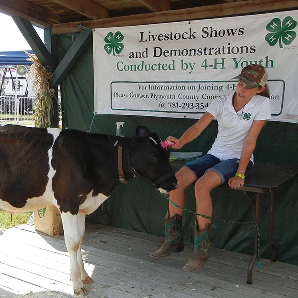 Marshfield Farmers' Market, MA photo 3