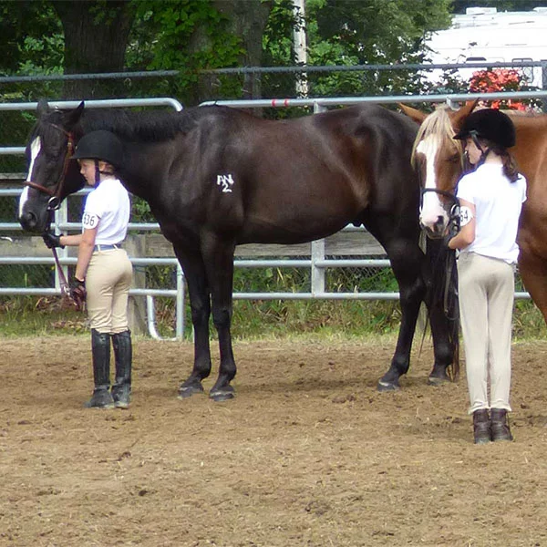 Marshfield Farmers' Market, MA photo 8