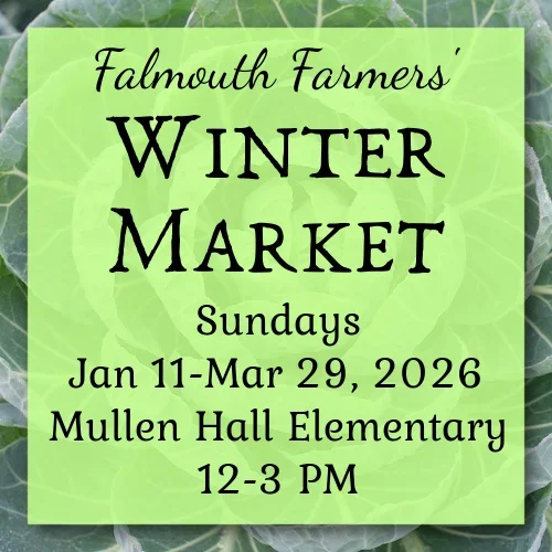 Falmouth Farmer's Market