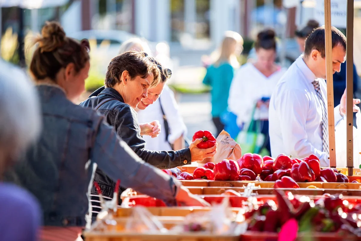 La Grange Farmers' Market & Artisans photo 3