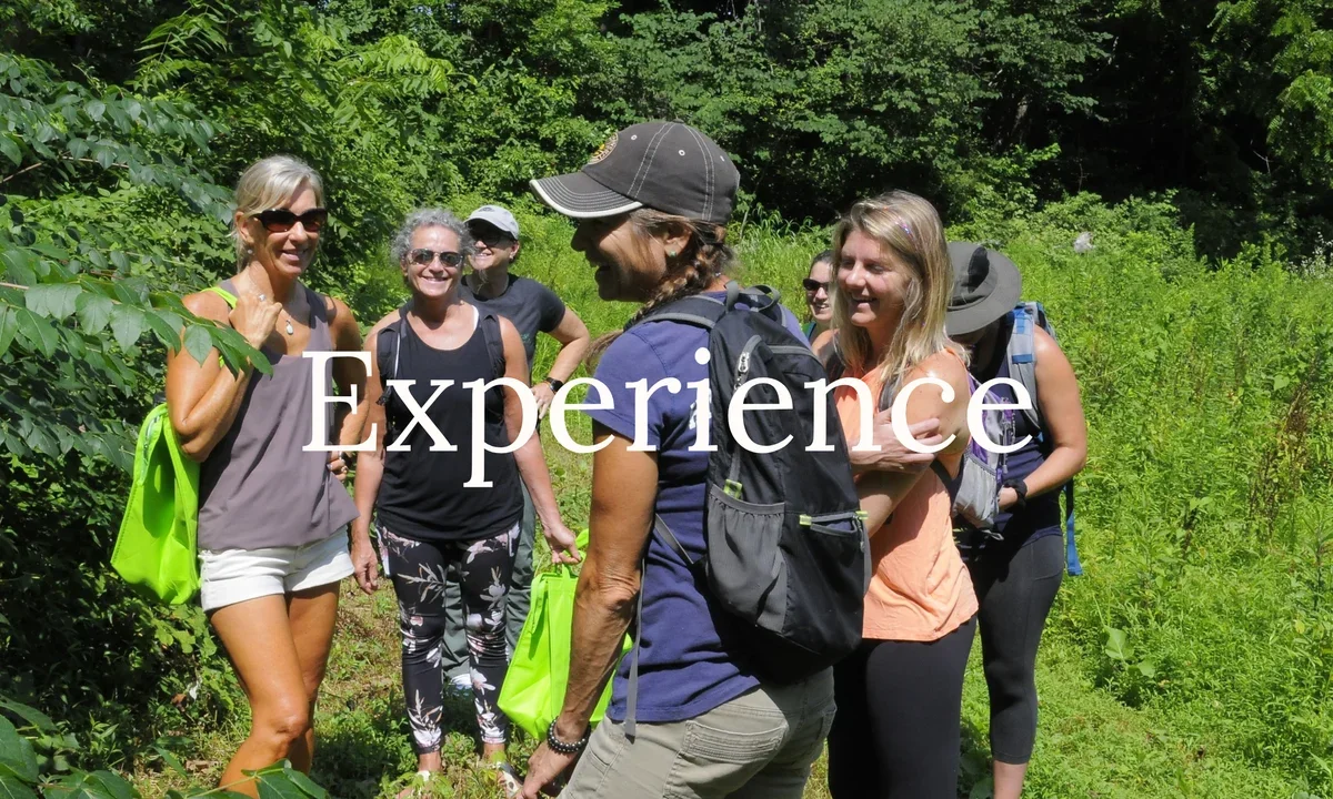 Honey's Harvest Farm photo 5