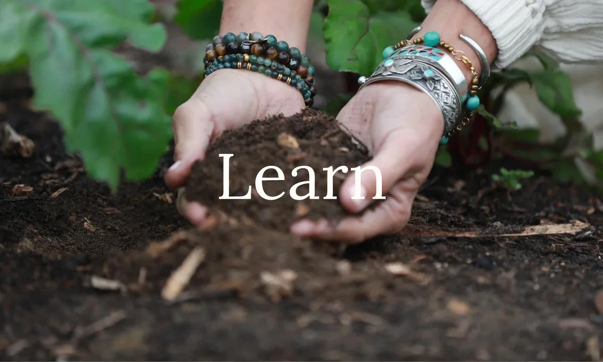 Honey's Harvest Farm photo 13