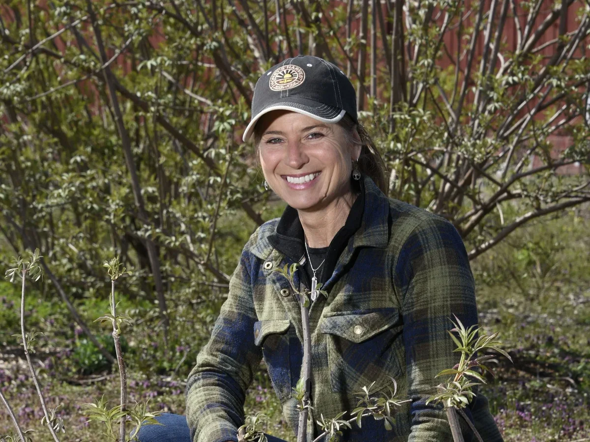 Honey's Harvest Farm photo 6