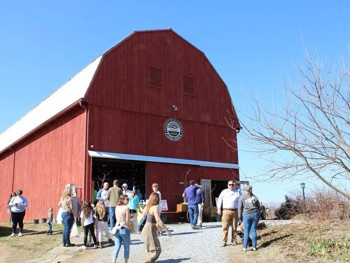 Honey's Harvest Farm photo 8