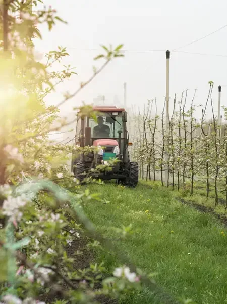 Lakewood Farmers Market photo 3