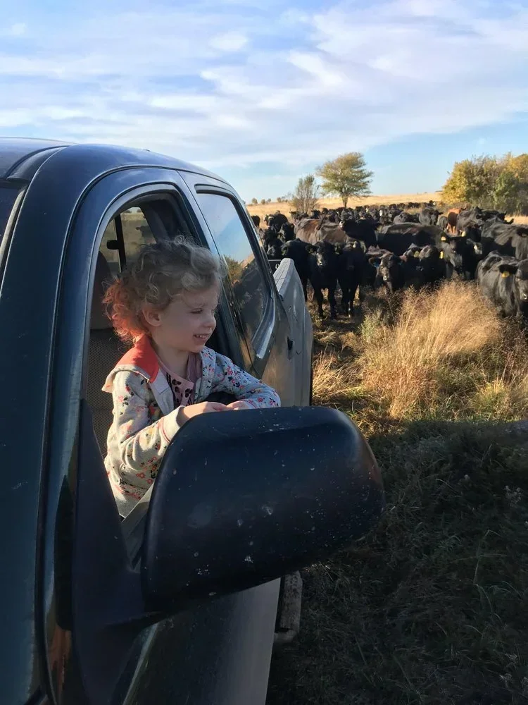 Real Ranch Grassfed photo 6