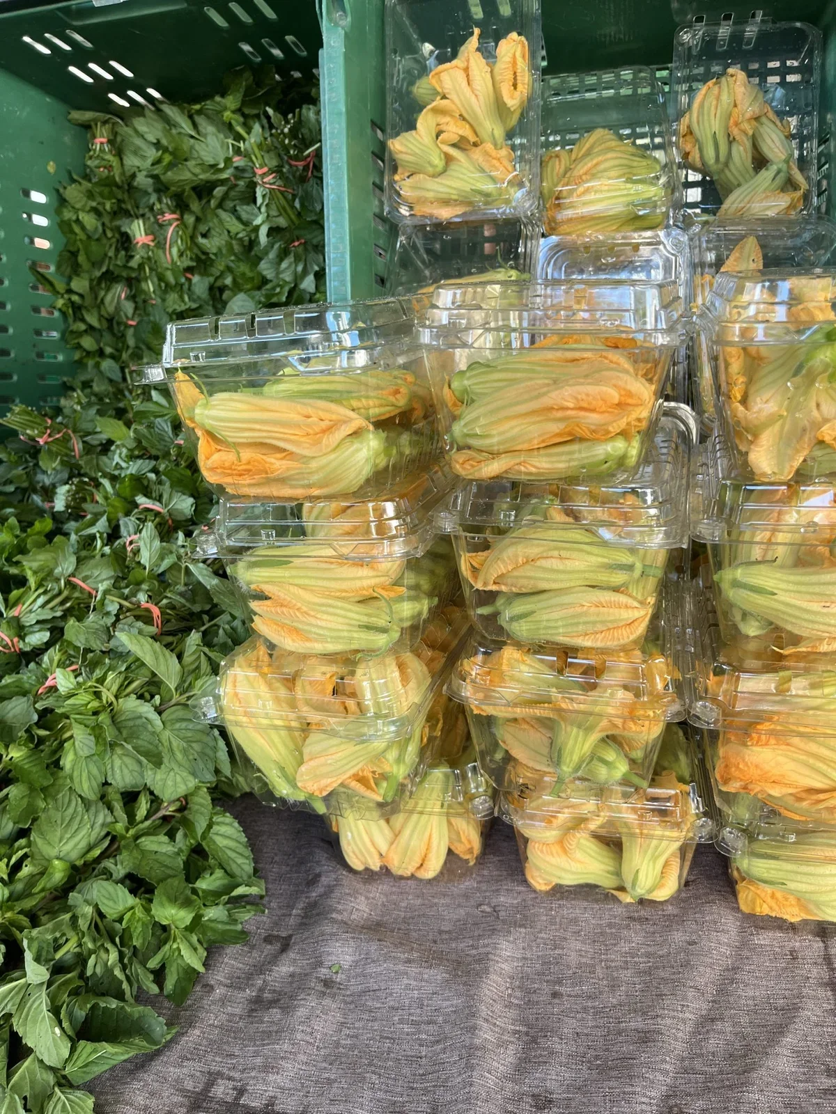 Little Pond Farm photo 2