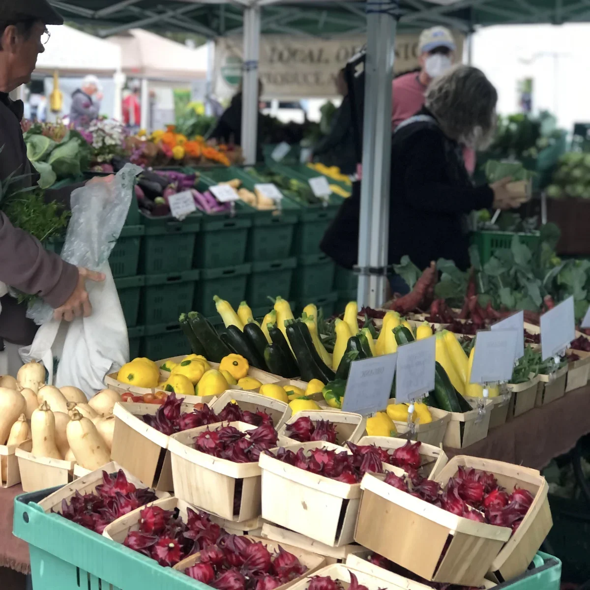 Little Pond Farm photo 5