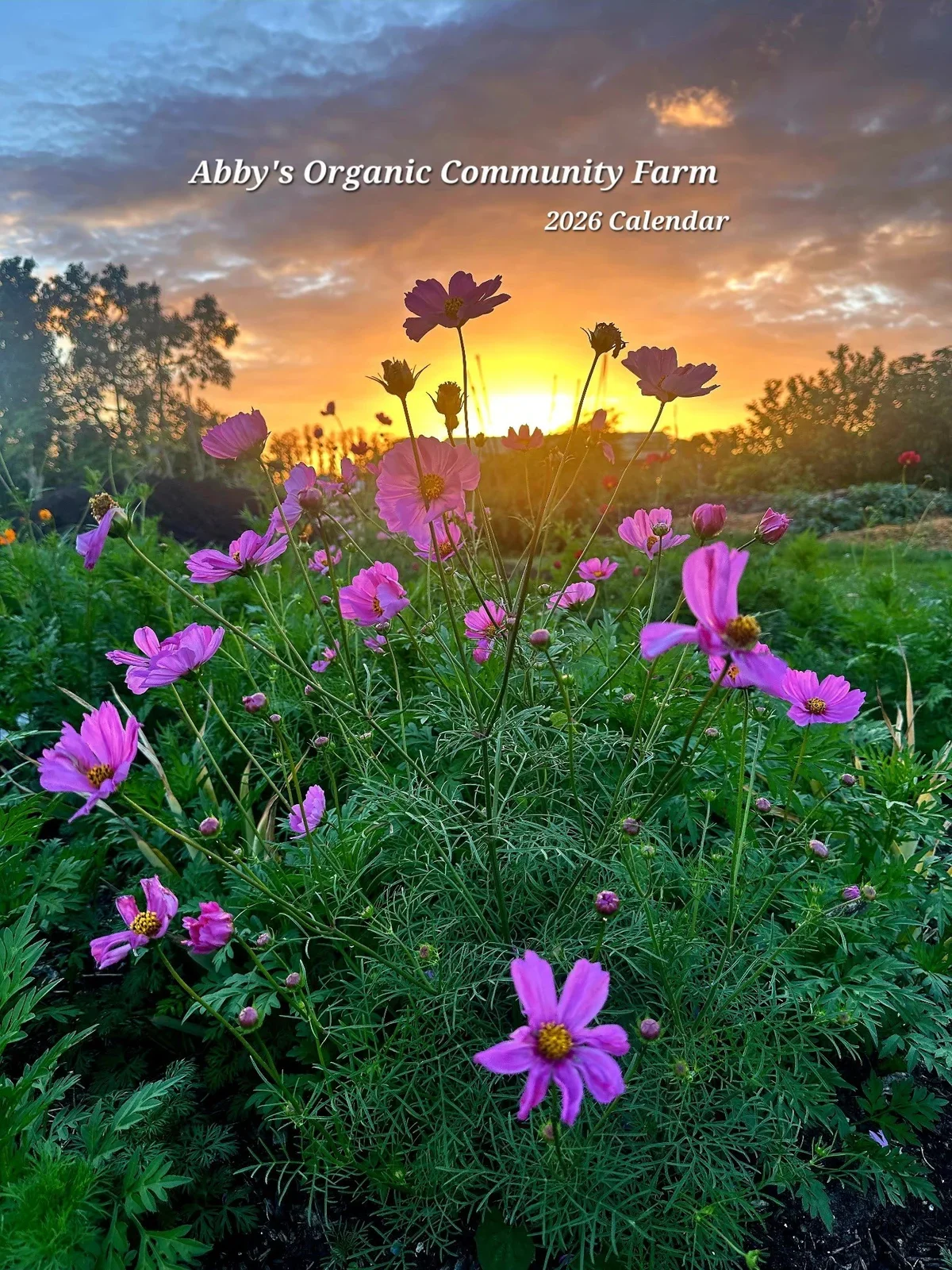 Abby's Organic Community Farm