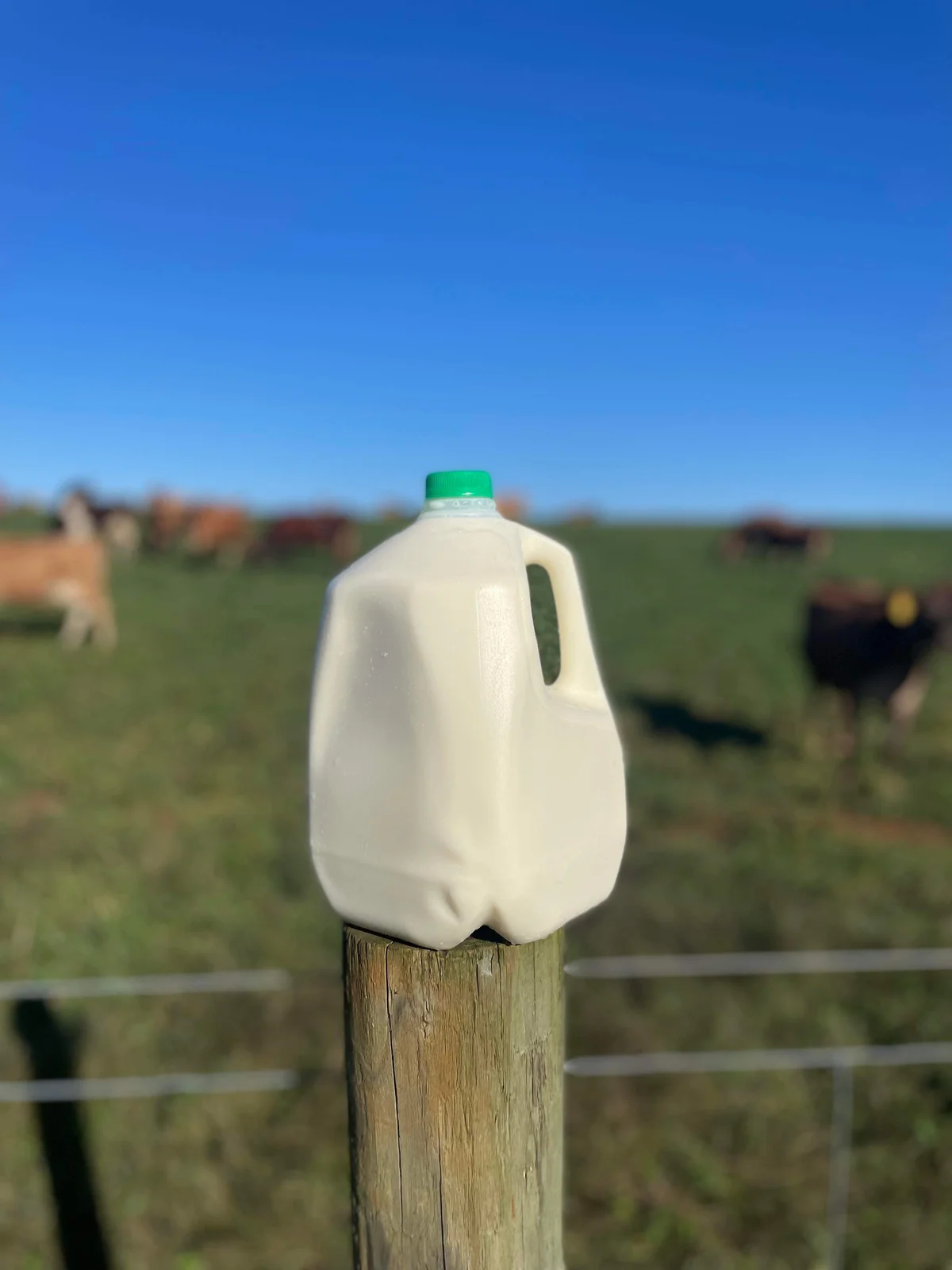 Triple Oaks Farm Rustburg Pickup (Arrington Insurance)