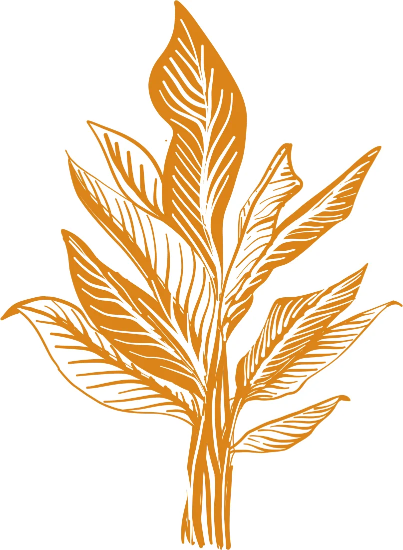 Hawai'i Institute of Pacific Agriculture photo 3