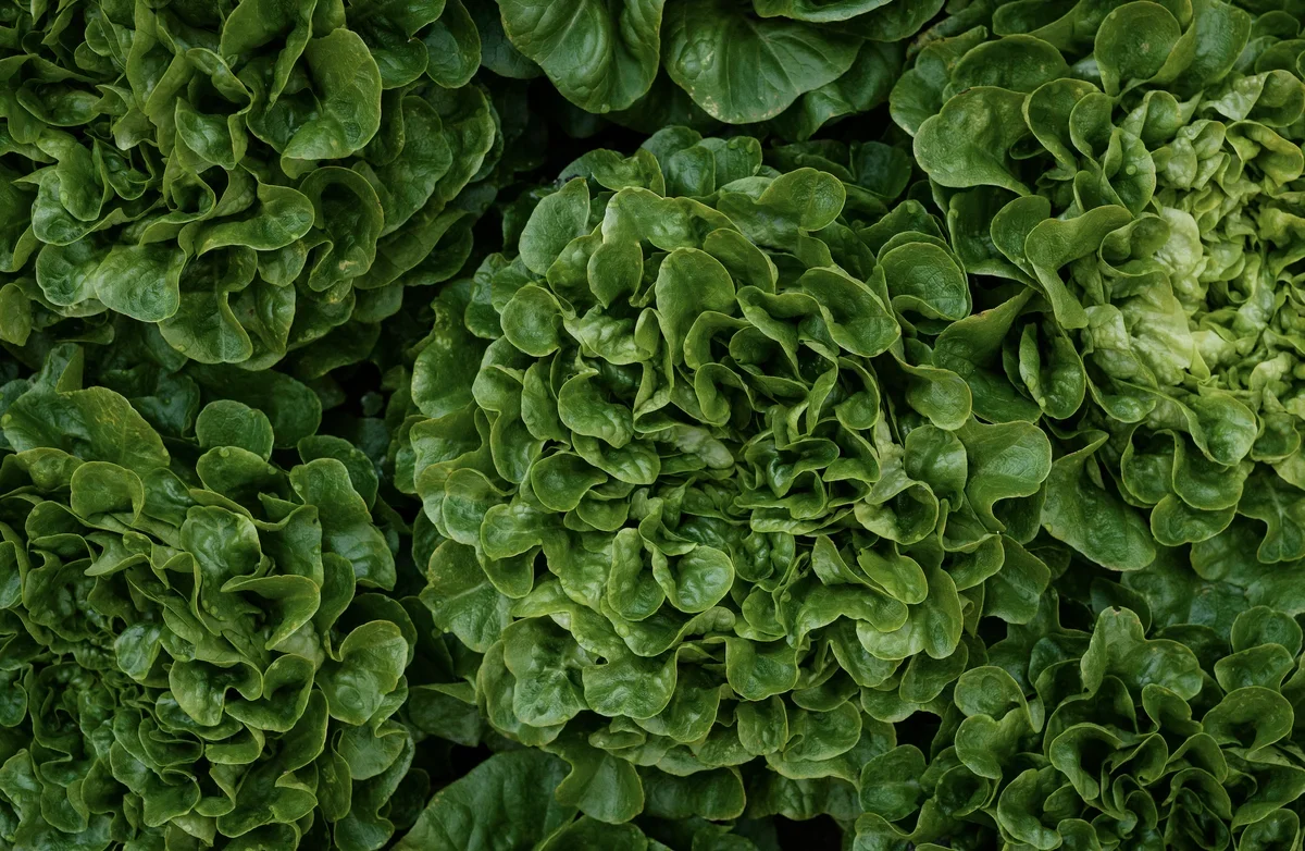 Nana's Mystic photo 3