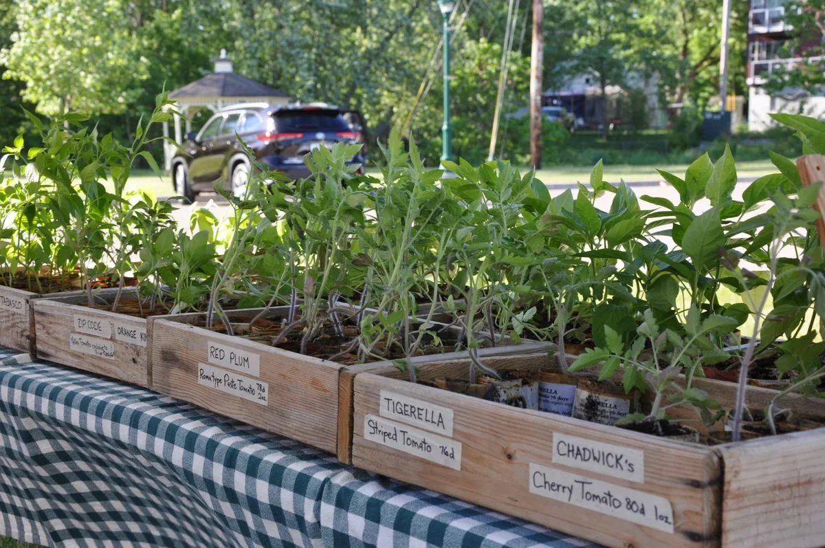 Plymouth Farmers' Market