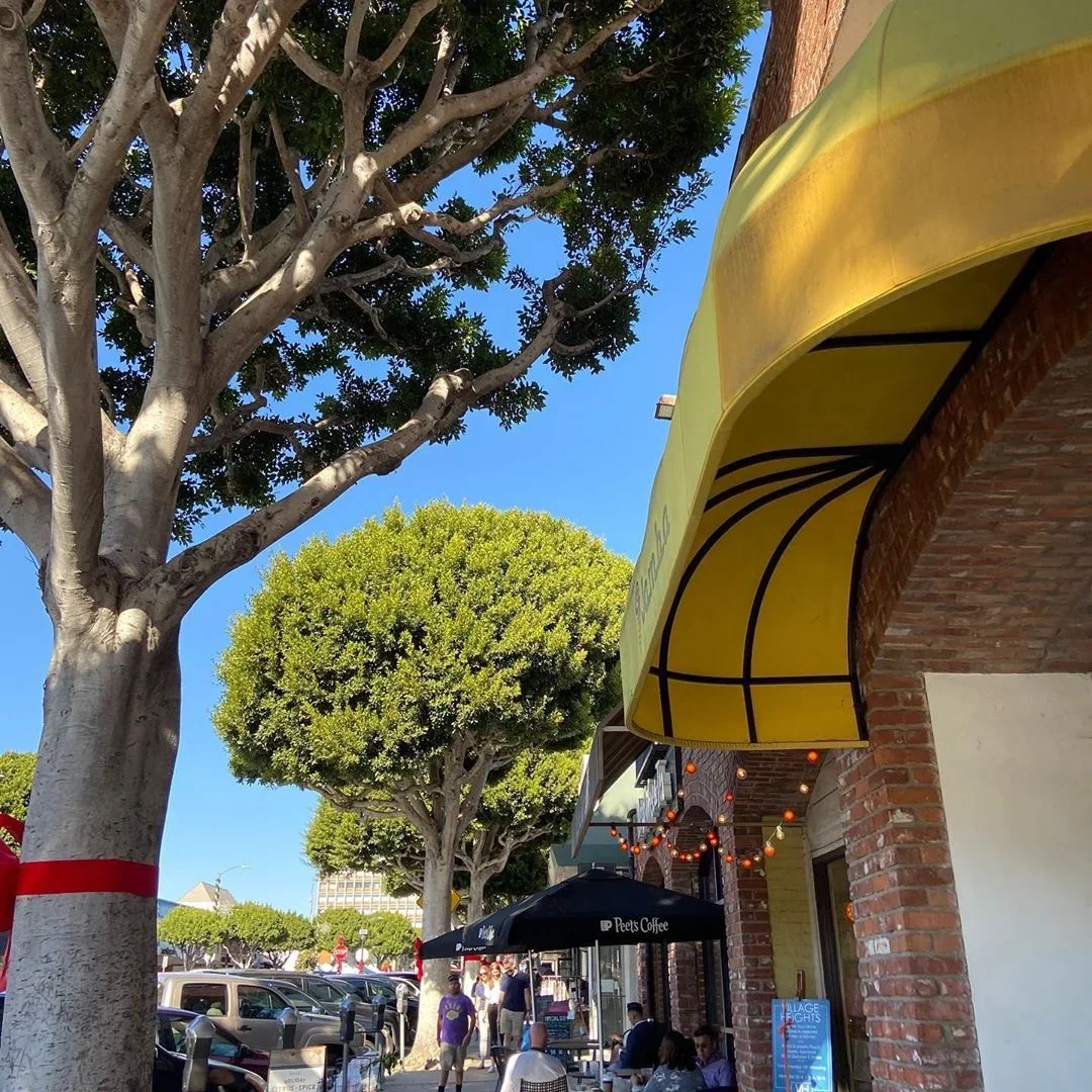 Larchmont Farmers' Market photo 6