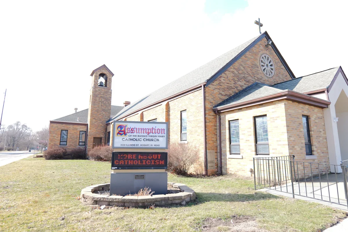 Ed and Judie's Egg Farm photo 7