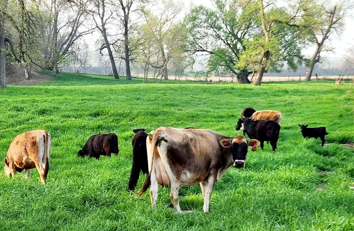 Jorasz Family Ranch Pickup Site – Skandia