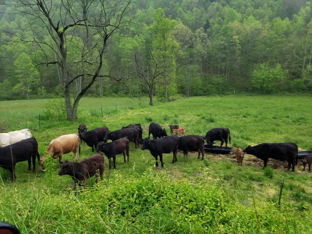 Zebulon Heritage Farm Rogersville Delivery photo 4