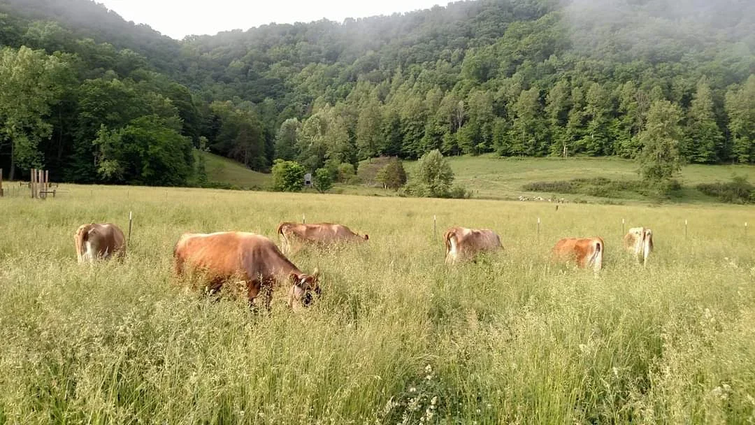 Zebulon Heritage Farm Rogersville Delivery photo 5