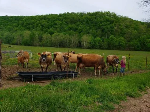 Zebulon Heritage Farm Rogersville Delivery photo 2