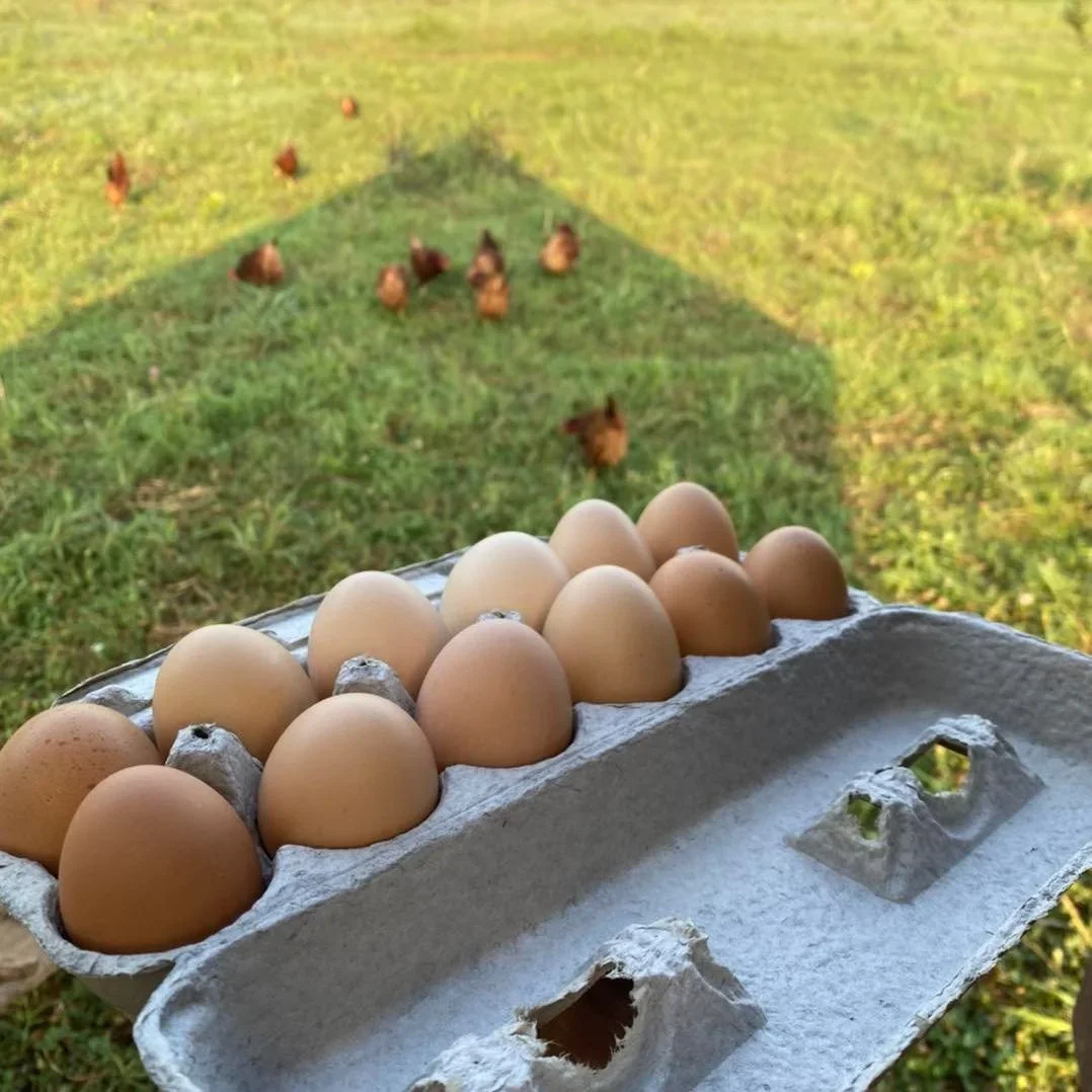 Freedom Acres Farm photo 2