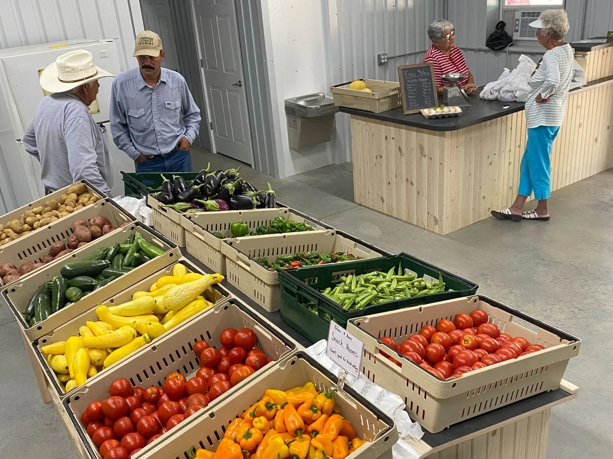 Freedom Acres Farm photo 3