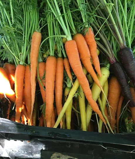 Galesburg Farmers' Market