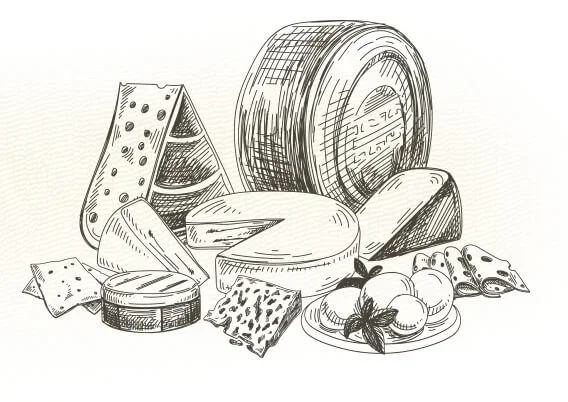 Carr Valley Cheese Factory Store photo 4