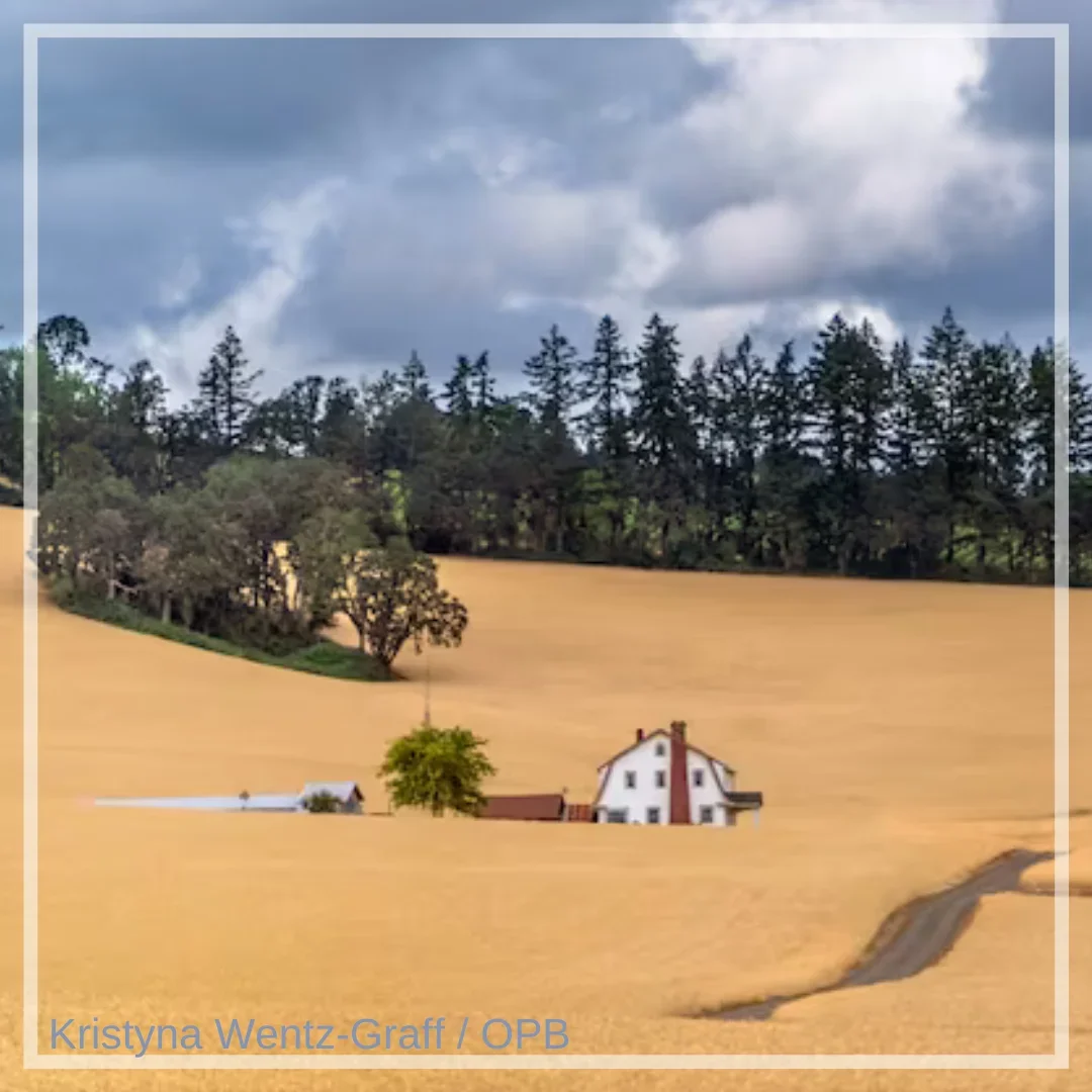 Hillsboro Farmers' Markets - Orenco Station photo 2