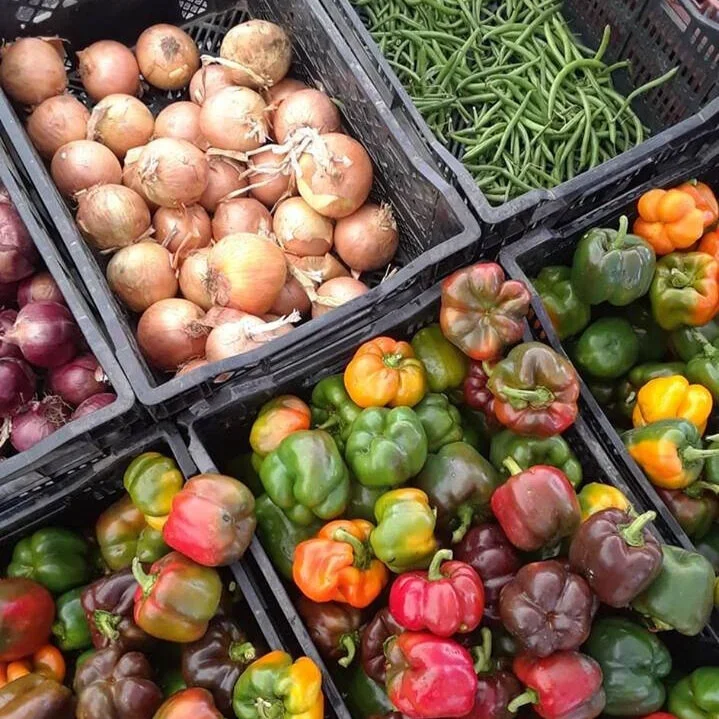 Hillsboro Farmers' Markets - Orenco Station photo 3