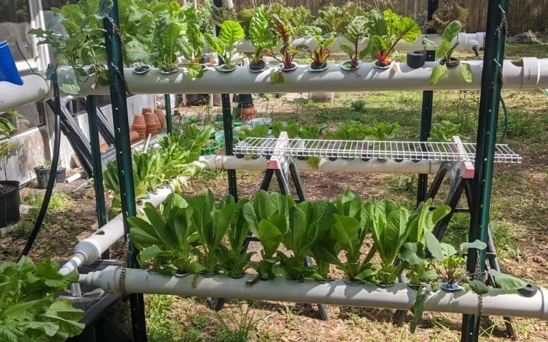 Ponca City Farmers Market photo 5