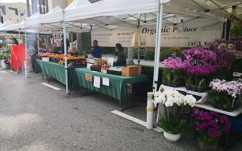 Ponca City Farmers Market photo 9