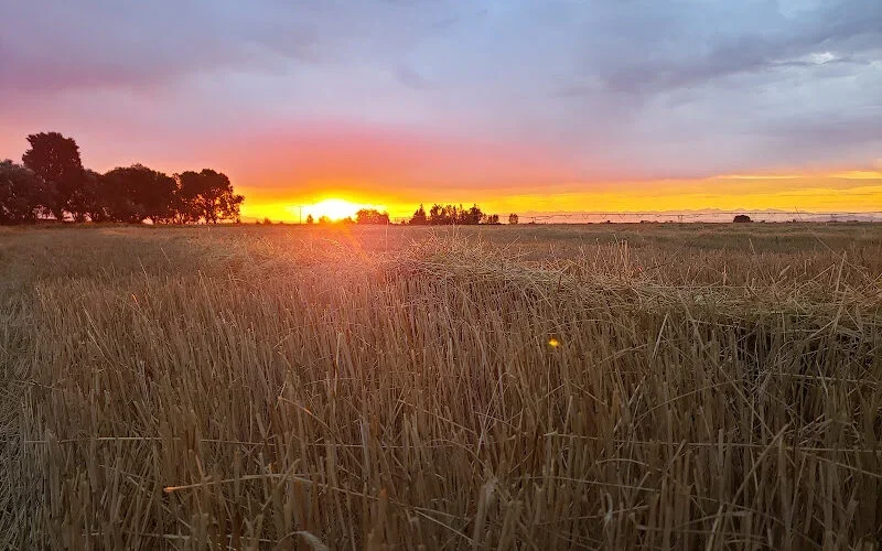 Ponca City Farmers Market photo 18