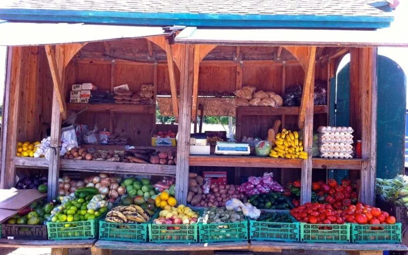 Ponca City Farmers Market photo 19