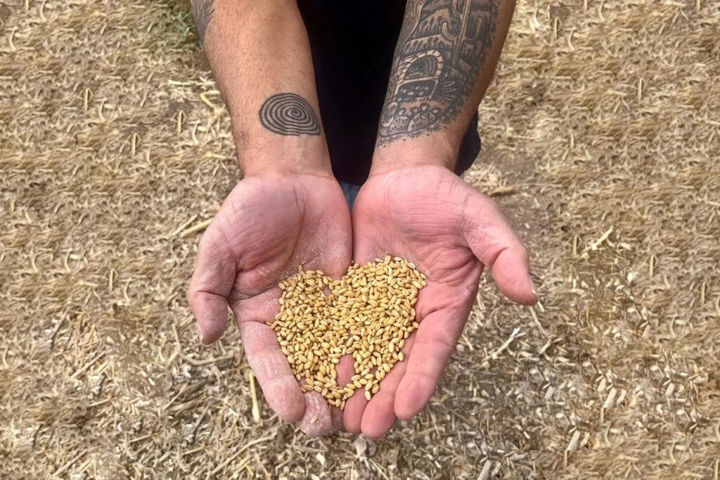 Barrio Bread Gilbert photo 6