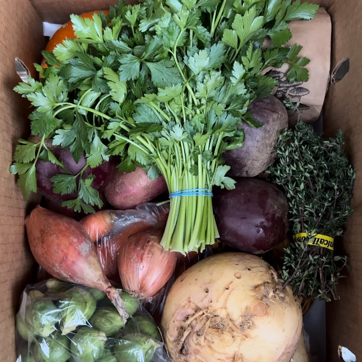 Snoqualmie Valley Farmers Cooperative photo 3