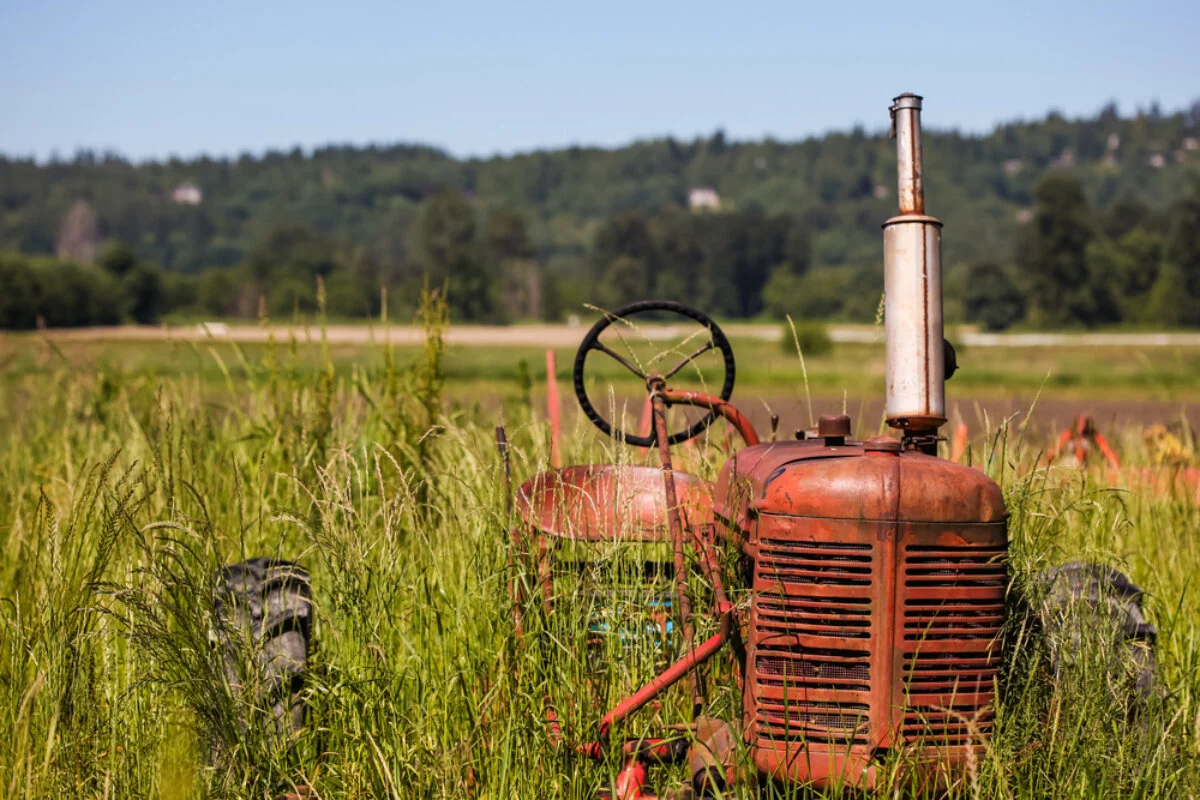 Snoqualmie Valley Farmers Cooperative photo 4
