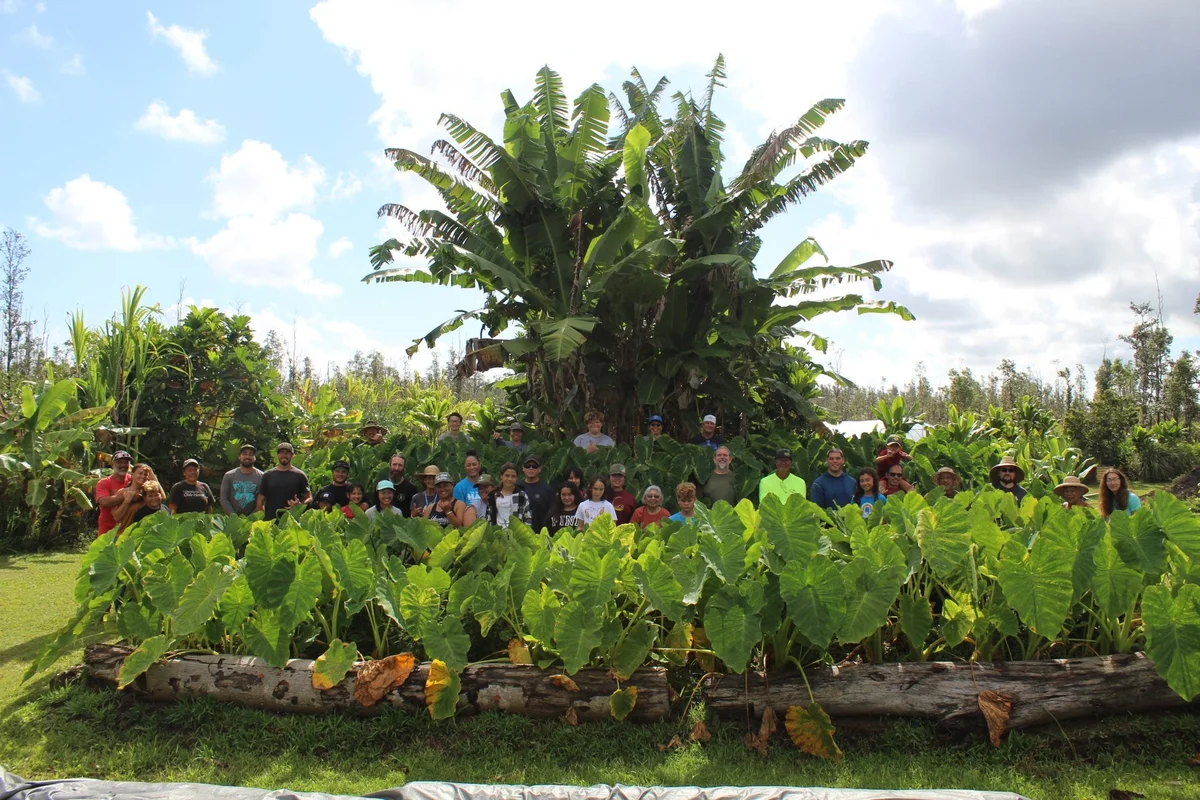 Maku'u Farmer's Market