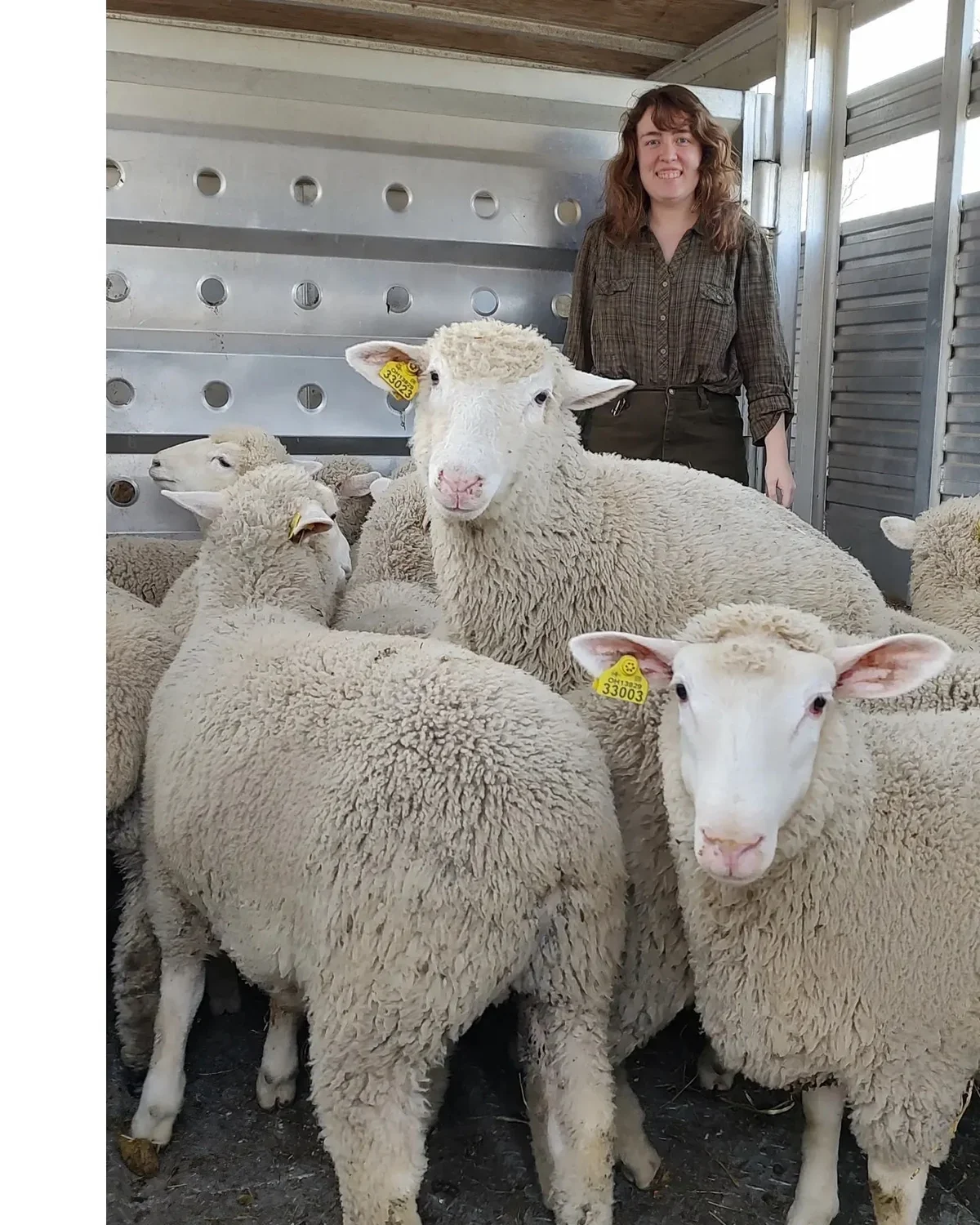 Ewe Know It Farms photo 2