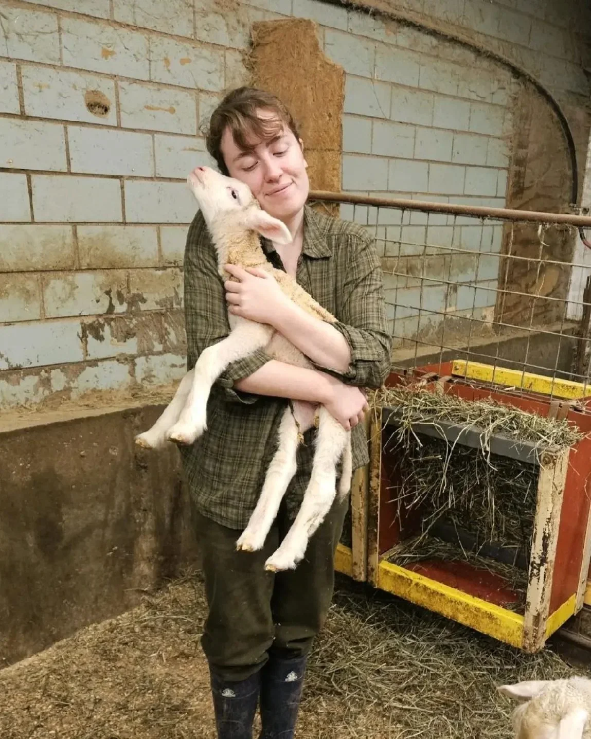 Ewe Know It Farms photo 9