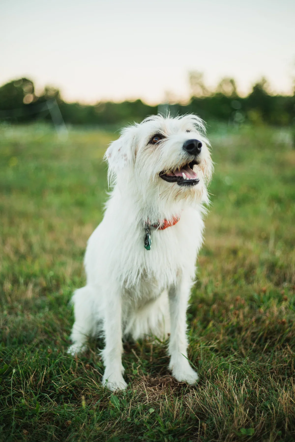 Seek-no-further Farms