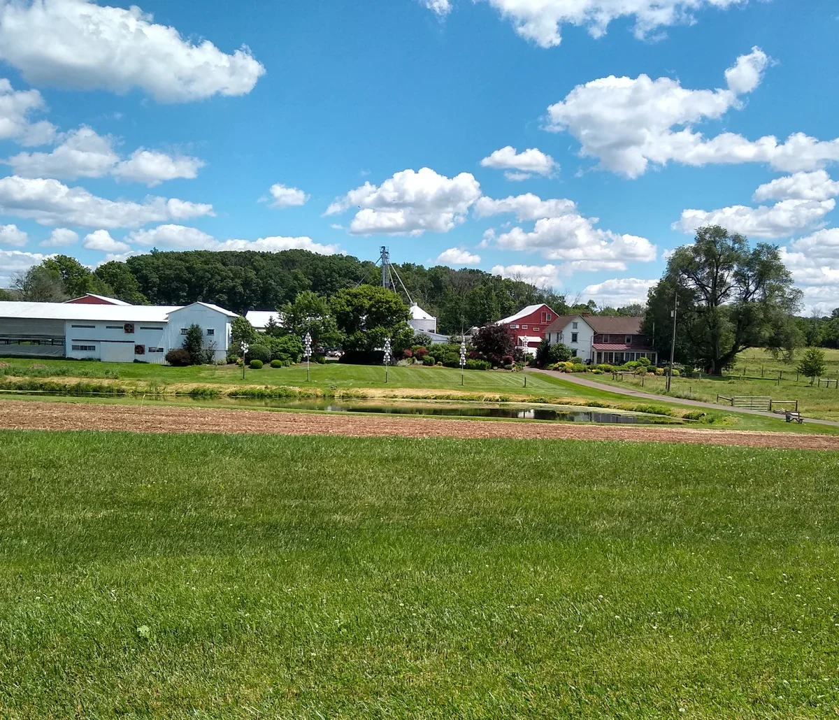 Bolton's Farm Market