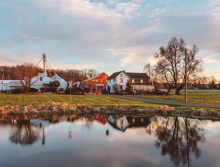 Bolton's Farm Market photo 5