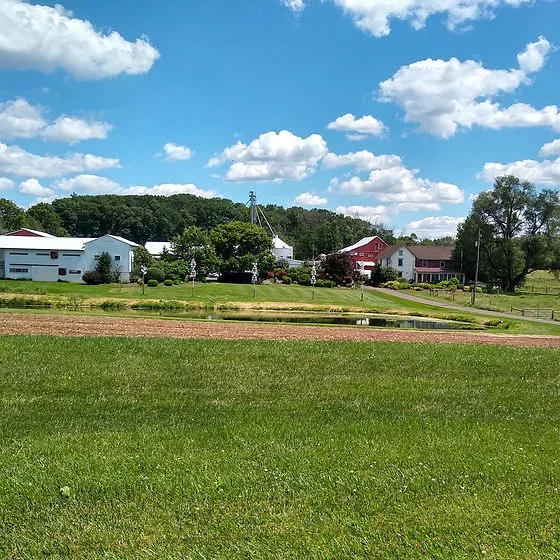 Bolton's Farm Market photo 2
