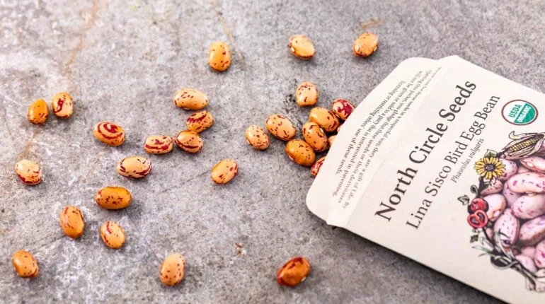 Lakewinds Food Co-op Richfield MN photo 10