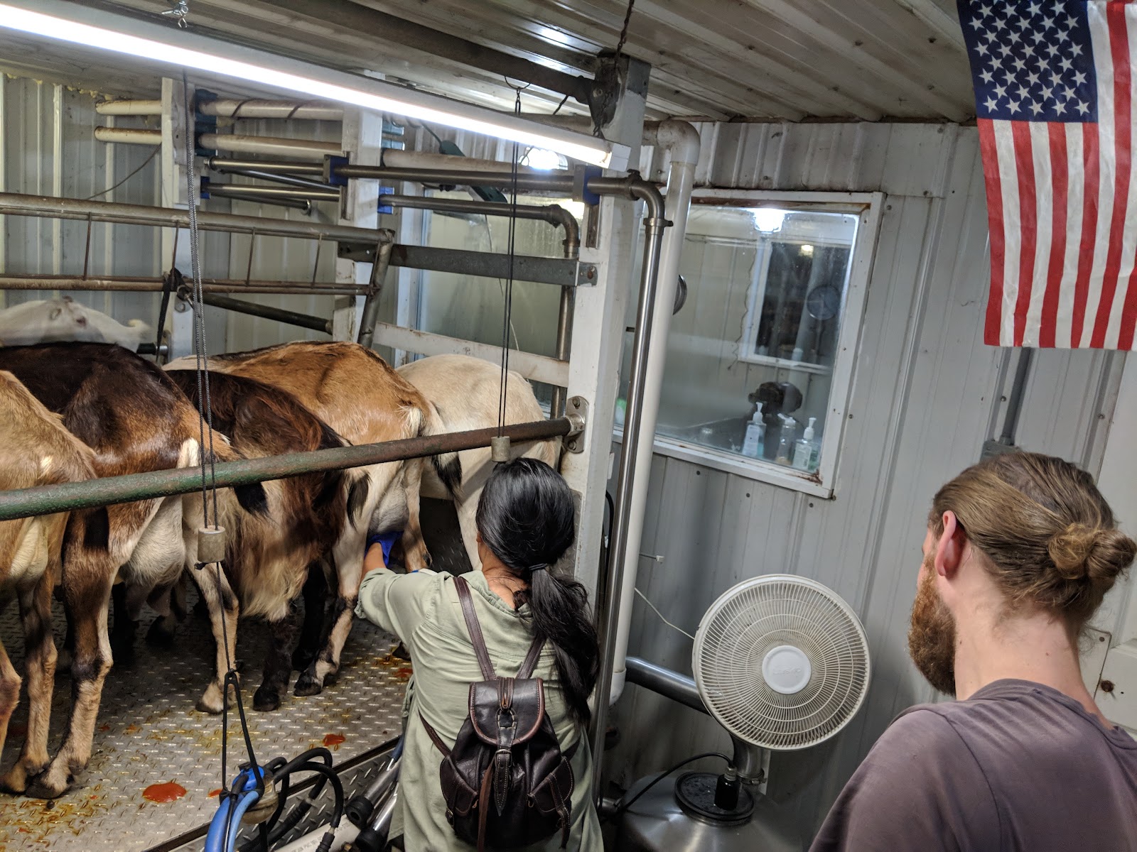 Burden Creek Dairy, LLC photo 2