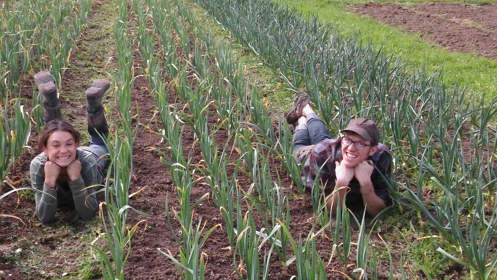 Dirt Rich Farm photo 2